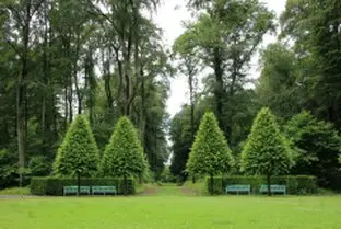 Tala y poda de árboles en altura, Lugo y provincia Tala y poda de árboles en altura, Lugo