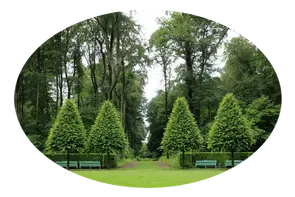 Tala y poda en altura de árboles Lugo Tala y poda en altura de árboles Lugo